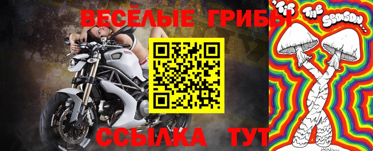 Камышин  Псилоцибиновые грибы Magic Shrooms  Вход с VPN 